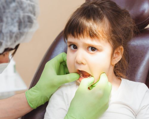 The dentist examines the child's teeth in the dental chair. medicine and dentistry concept.